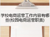 学校电商运营工作内容有哪些(校园电商运营职责)