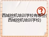 西城挖机培训学校有哪些(西城挖机培训学校)