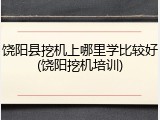 饶阳县挖机上哪里学比较好(饶阳挖机培训)