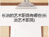 长治的艺术职高有哪些(长治艺术职高)