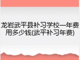 龙岩武平县补习学校一年费用多少钱(武平补习年费)