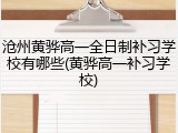 沧州黄骅高一全日制补习学校有哪些(黄骅高一补习学校)