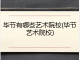 毕节有哪些艺术院校(毕节艺术院校)