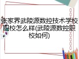 张家界武陵源数控技术学校职校怎么样(武陵源数控职校如何)
