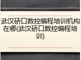武汉硚口数控编程培训机构在哪(武汉硚口数控编程培训)