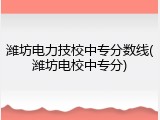 潍坊电力技校中专分数线(潍坊电校中专分)