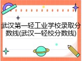 武汉第一轻工业学校录取分数线(武汉一轻校分数线)