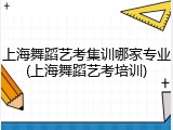 上海舞蹈艺考集训哪家专业(上海舞蹈艺考培训)