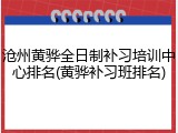 沧州黄骅全日制补习培训中心排名(黄骅补习班排名)