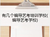 有几个编导艺考培训学校(编导艺考学校)