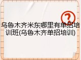 乌鲁木齐米东哪里有单招培训班(乌鲁木齐单招培训)