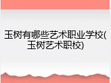 玉树有哪些艺术职业学校(玉树艺术职校)