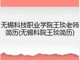 无锡科技职业学院王琰老师简历(无锡科院王琰简历)