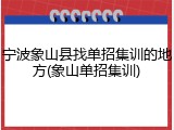 宁波象山县找单招集训的地方(象山单招集训)