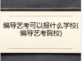 编导艺考可以报什么学校(编导艺考院校)