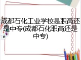 成都石化工业学校是职高还是中专(成都石化职高还是中专)