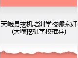 天峨县挖机培训学校哪家好(天峨挖机学校推荐)