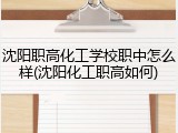 沈阳职高化工学校职中怎么样(沈阳化工职高如何)