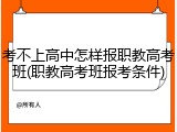 考不上高中怎样报职教高考班(职教高考班报考条件)