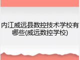 内江威远县数控技术学校有哪些(威远数控学校)