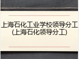 上海石化工业学校领导分工(上海石化领导分工)
