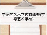 宁德的艺术学校有哪些(宁德艺术学校)