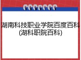 湖南科技职业学院百度百科(湖科职院百科)