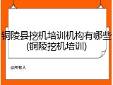 铜陵县挖机培训机构有哪些(铜陵挖机培训)