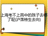 上海考不上高中的孩子去哪了呢(沪落榜生去向)