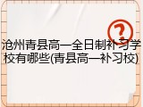 沧州青县高一全日制补习学校有哪些(青县高一补习校)