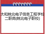 太和皖北电子信息工程学校二职高(皖北电子职校)