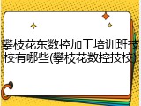 攀枝花东数控加工培训班技校有哪些(攀枝花数控技校)