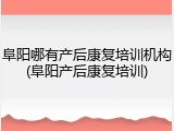 阜阳哪有产后康复培训机构(阜阳产后康复培训)