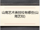 山南艺术类技校有哪些(山南艺校)