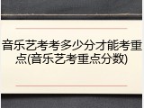 音乐艺考考多少分才能考重点(音乐艺考重点分数)