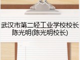 武汉市第二轻工业学校校长陈光明(陈光明校长)