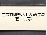宁夏有哪些艺术职高(宁夏艺术职高)