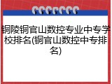 铜陵铜官山数控专业中专学校排名(铜官山数控中专排名)