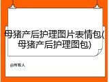 母猪产后护理图片表情包(母猪产后护理图包)