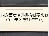 西安艺考培训机构哪家比较好(西安艺考机构推荐)