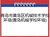青岛市黄岛区机械技术学校环境(黄岛机械学校环境)