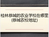 桂林恭城的农业学校在哪里(恭城农校地址)