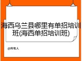 海西乌兰县哪里有单招培训班(海西单招培训班)