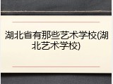 湖北省有那些艺术学校(湖北艺术学校)