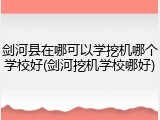 剑河县在哪可以学挖机哪个学校好(剑河挖机学校哪好)