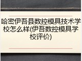 哈密伊吾县数控模具技术学校怎么样(伊吾数控模具学校评价)