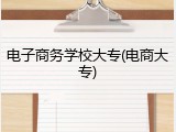 电子商务学校大专(电商大专)