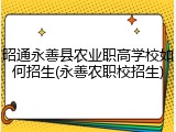 昭通永善县农业职高学校如何招生(永善农职校招生)