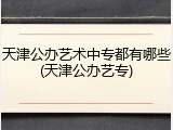 天津公办艺术中专都有哪些(天津公办艺专)