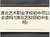 淮北艺术职业学校初中可以去读吗?(淮北艺校招初中生吗)